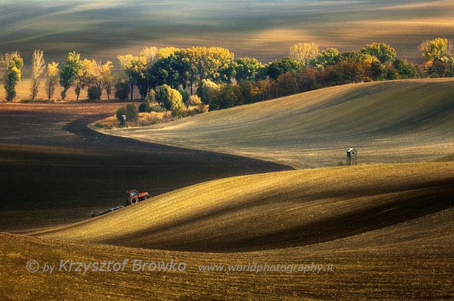 Autumn fields